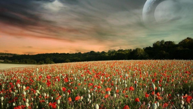 为什么年轻的肉体让人沉迷？